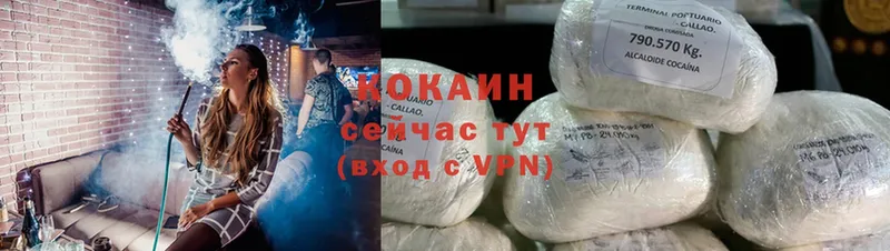 купить наркоту  Дальнегорск  нарко площадка Telegram  Cocaine 98% 