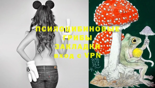 не бодяженный Богородицк