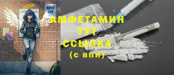 крисы Бородино
