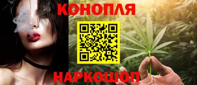 спайс Гай