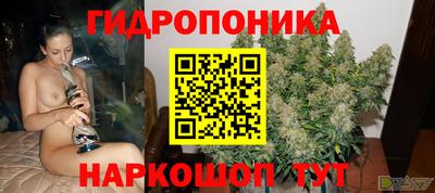 ПСИЛОЦИБИНОВЫЕ ГРИБЫ Абакан