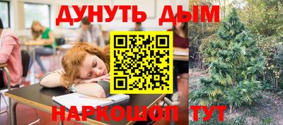 спайс Гай