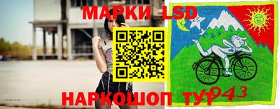 спайс Гай