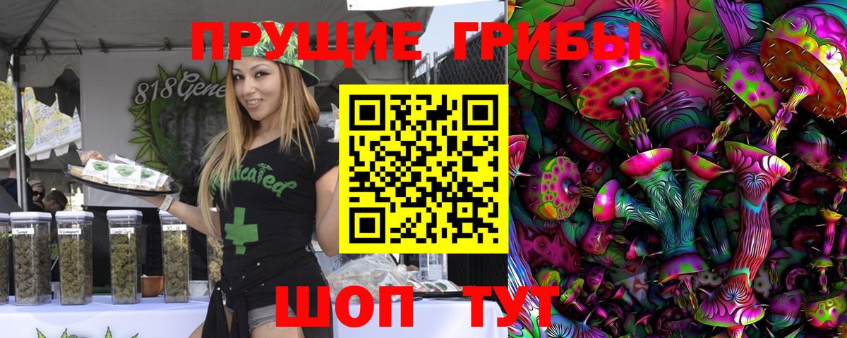 Галлюциногенные грибы Cubensis Дальнегорск