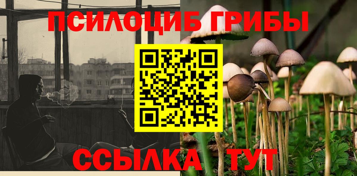 хочу   Галлюциногенные грибы мухоморы  Вход с VPN  Дальнегорск 