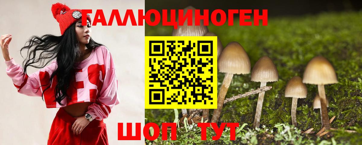 Псилоцибиновые грибы Magic Shrooms  где найти наркотики  Галлюциногенные грибы Psilocybine cubensis  Дальнегорск 